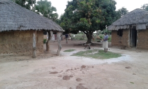 Esther's Village